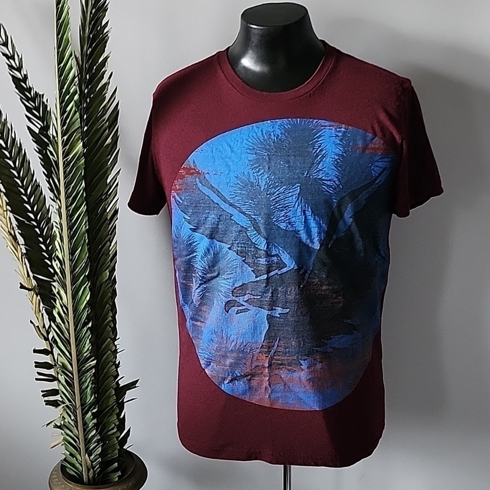 American Eagle maroontee with blue and black graphics